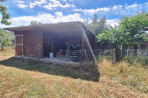 Landejendom i Ginestar, Tarragona, Ginestar - € 375.000 | Ref: CC845 - foto 18